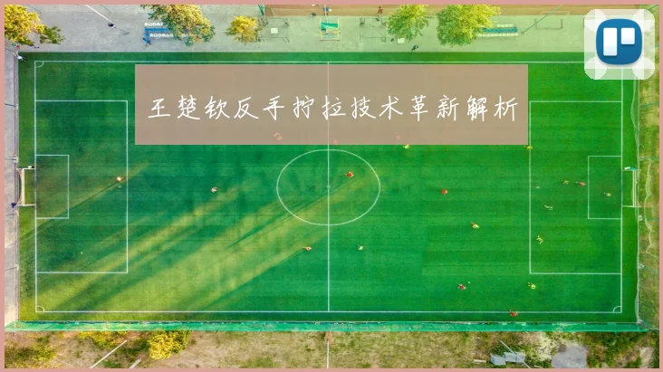 王楚钦反手拧拉技术革新解析