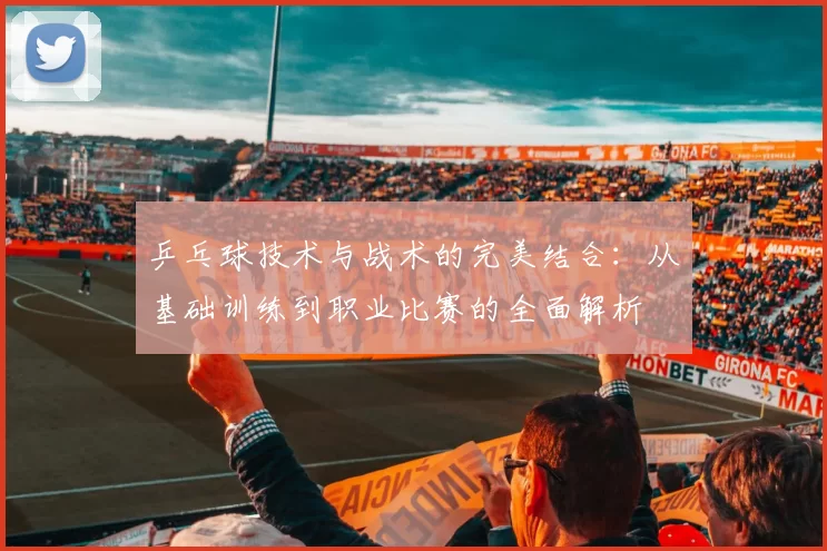 乒乓球技术与战术的完美结合：从基础训练到职业比赛的全面解析