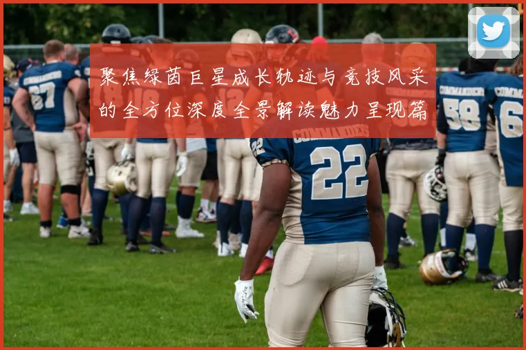 聚焦绿茵巨星成长轨迹与竞技风采的全方位深度全景解读魅力呈现篇