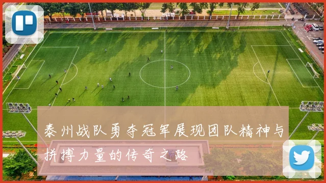 泰州战队勇夺冠军展现团队精神与拼搏力量的传奇之路