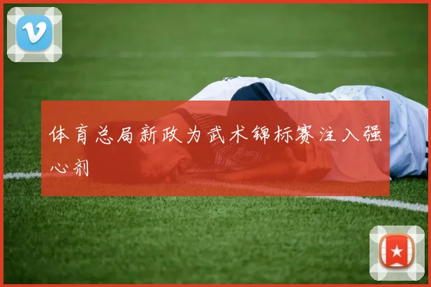 体育总局新政为武术锦标赛注入强心剂