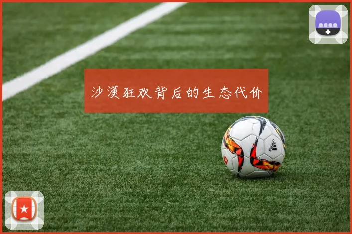沙漠狂欢背后的生态代价