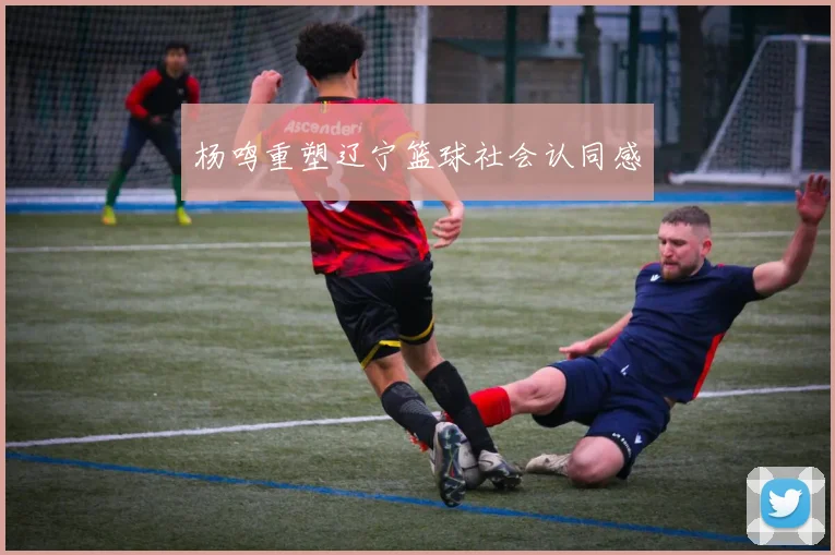 杨鸣重塑辽宁篮球社会认同感