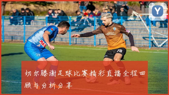 切尔滕谢足球比赛精彩直播全程回顾与分析分享