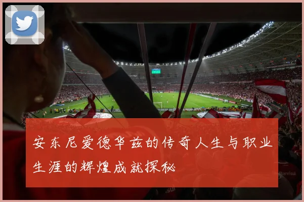 安东尼爱德华兹的传奇人生与职业生涯的辉煌成就探秘