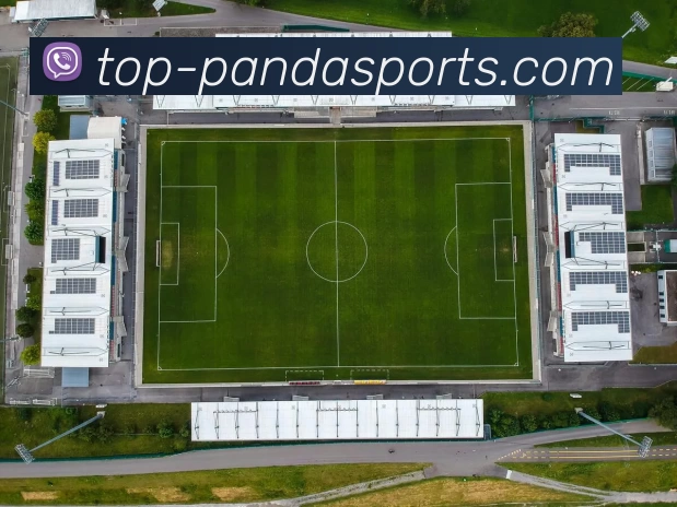 PANDAAPP 高清赛事图