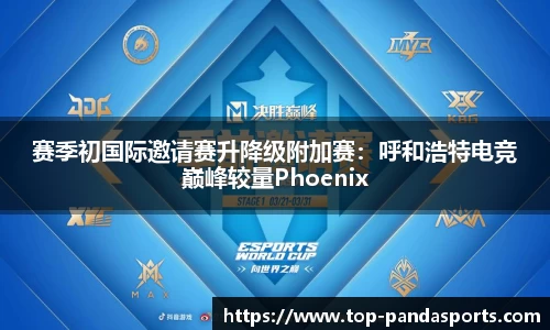 熊猫体育官网
