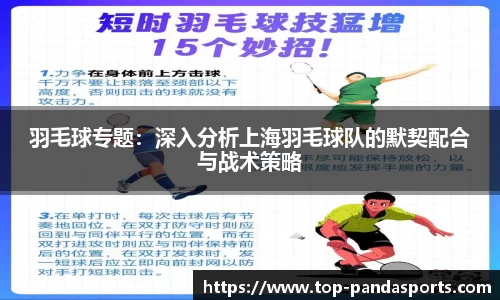 羽毛球专题：深入分析上海羽毛球队的默契配合与战术策略