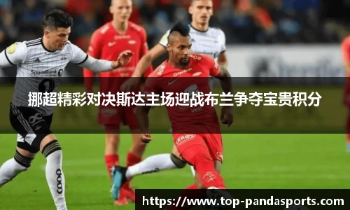 熊猫体育平台